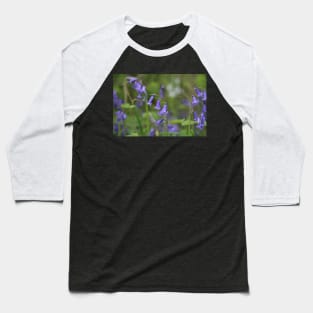 Bluebell up close Baseball T-Shirt